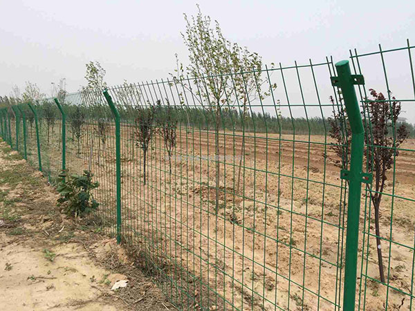 水库围栏图片4